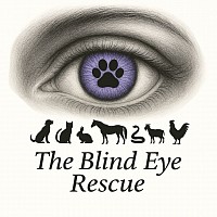 Never Turning A Blind Eye To Those In Need