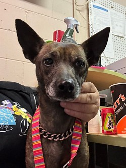 Ethel female mix